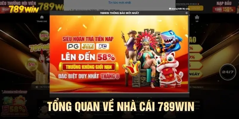 Tổng quan về nhà cái 789win